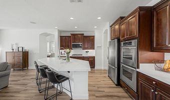 3715 E BLUEBIRD Pl, Chandler, AZ 85286