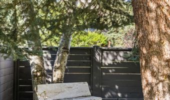 980 Cemetery Ln, Aspen, CO 81611