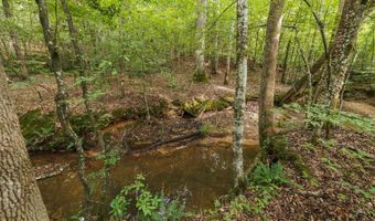 0 Brooksie Thompson Rd, Bath Springs, TN 38311