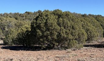 5 N8715, Concho, AZ 85924