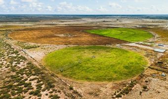 Tbd FM 1788, Andrews, TX 79360