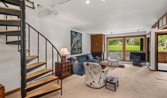 824 E Hopkins Ave 102 and 202, Aspen, CO 81611