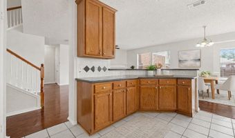 433 Spring Air Dr, Allen, TX 75002