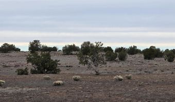 214 Juniper Woods, Ash Fork, AZ 86320