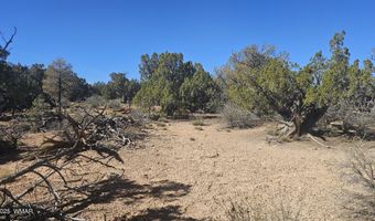 4 County Rd, Concho, AZ 85924