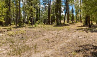 98 County Road 2266, Alpine, AZ 85920