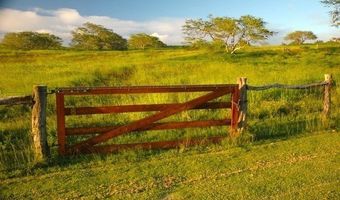 56-135 PUALANI Rd, Hawi, HI 96719