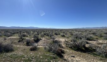 Filippini Ranch Road, Battle Mountain, NV 89820