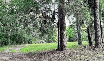 11317 NW 199TH Ave, Alachua, FL 32615