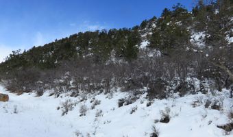 Tbd 117 County Road, Glenwood Springs, CO 81601