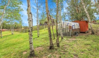 331 Bluebird Ln, Bailey, CO 80421