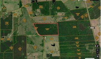 R15685 Moore Cemetery Road, Apple Springs, TX 77519