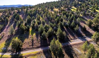 737 Raccoon Ln, Alturas, CA 96101