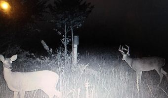 11000 Rd, Altamont, KS 67330