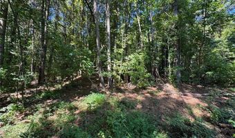 63 Hickory Creek Ln, Acworth, GA 30101