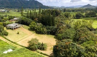PUUOPAE RD, Kapaa, HI 96746