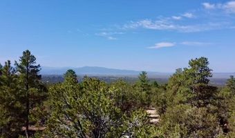 Tract B 266 Gallina Canyon Road, Valdez, NM 87580
