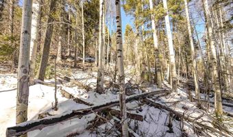 45 Sacramento Dr, Angel Fire, NM 87710
