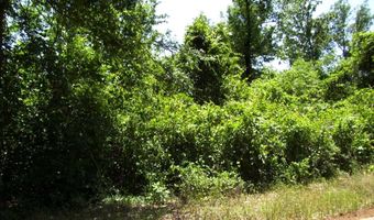 1131 LR 35, Ashdown, AR 71822