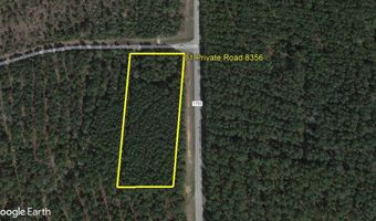 01 Private Road 8356 Lot 1 Pinewater Plantation, Bronson, TX 75930