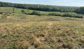 00 Tucker Rd, Bath Springs, TN 38311