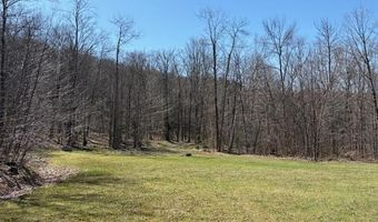 Walker Hill Road, Bridgewater, VT 05034