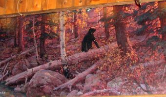 355 S WASHINGTON St, Afton, WY 83110