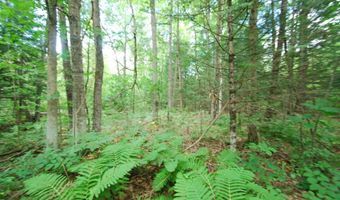 x Franklin Road, Alger, MI 48610