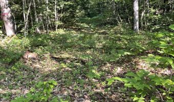 Birch View Drive lot # 0, Albany Twp., ME 04217