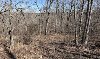 Rt 1 County Rd 14-531, Ava, MO 65608