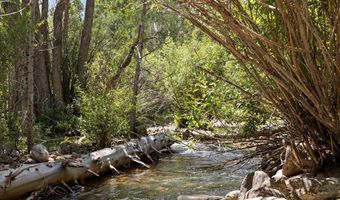 23 BROKEN BRIDGE Rd, Centennial, WY 82055