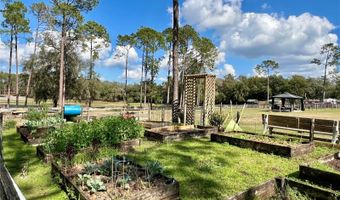 42645 W ALTOONA Rd, Altoona, FL 32702