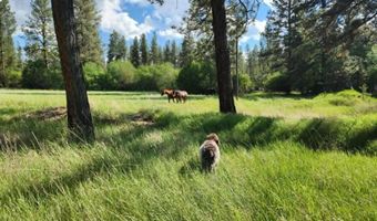 35322 Washoe Rd, Bonner, MT 59823