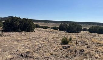 68 County Rd N8171, Concho, AZ 85924