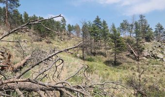 693 Cougar Dr, Bellvue, CO 80512