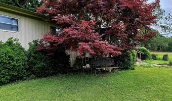 288 Redress Ln, Bee Branch, AR 72013