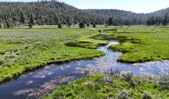 Mile Post 12 Fish Hole Creek, Bly, OR 97622