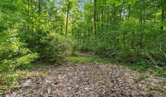1125 39th St, Allegan, MI 49010