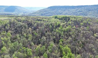 10 Acres County Road 792, Flat Rock, AL 35966