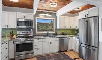 217 Longhorn Ln, Basalt, CO 81621