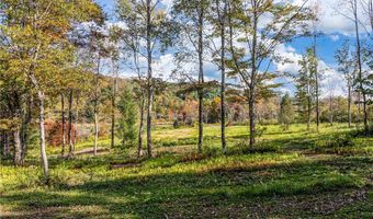 0 Woodland Hills Rd, Andes, NY 13731