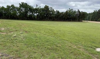 64 Hwy, Adamsville, TN 38310