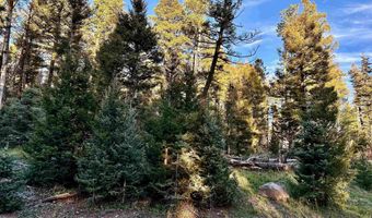 Lot 1332 Skyview Way, Angel Fire, NM 87710