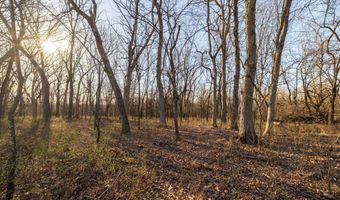 W Farm Rd 64, Ash Grove, MO 65604