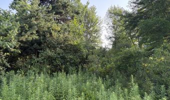 9653 52nd Ave, Allendale, MI 49401