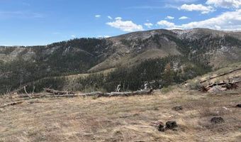 711 Saddle Ridge Rd, Bellvue, CO 80512