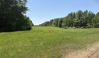 N Osborntown Rd, Arlington, TN 38002