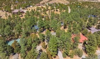 1377 HIGH MESA Dr, Alto, NM 88312