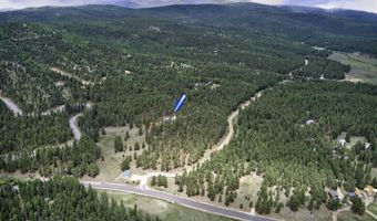 21 Pam Coleman, Angel Fire, NM 87710