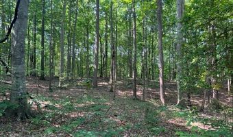 10 97 AC H R Huffer Ln, Allons, TN 38541